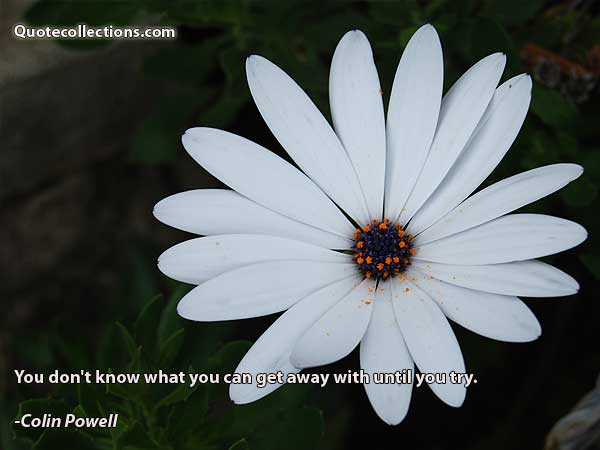 Colin Powell Quotes10