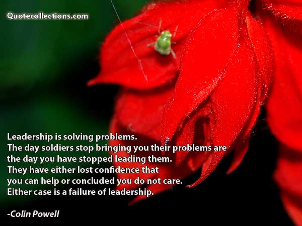 Colin Powell Quotes2