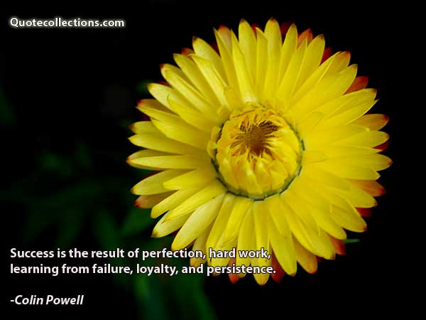 Colin Powell Quotes3