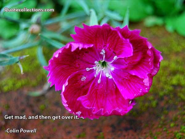 Colin Powell Quotes4