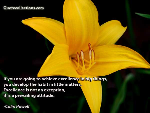 Colin Powell Quotes7