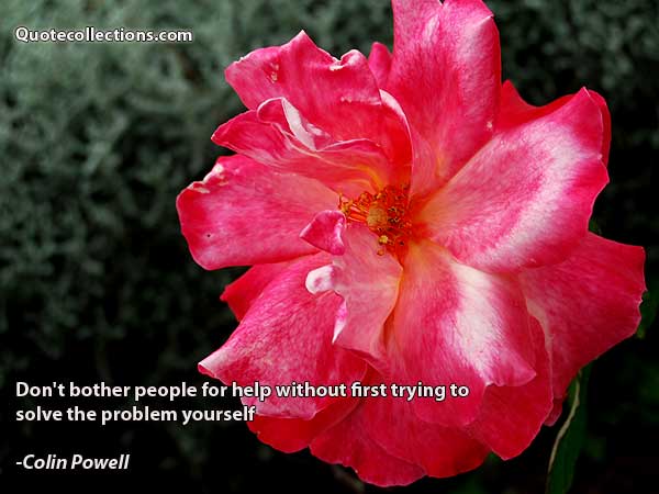 Colin Powell Quotes9