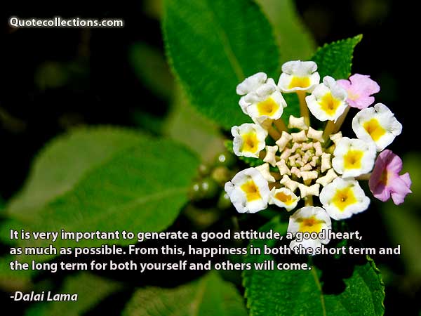 Dalai Lama Quotes4