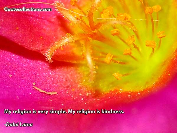 Dalai Lama Quotes8