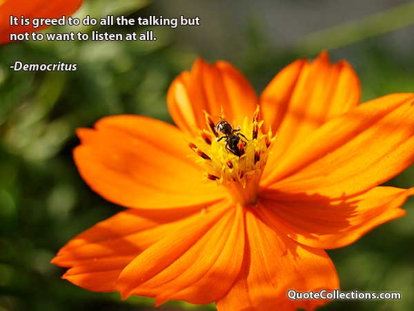 Democritus Quotes1