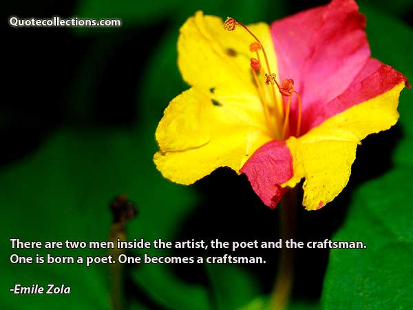 Emile Zola Quotes5