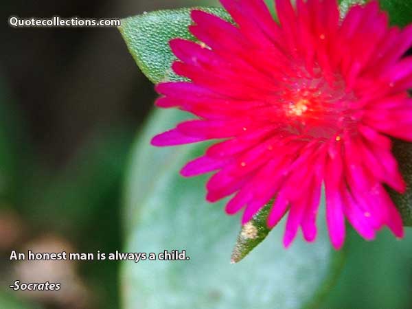 Socrates Quotes5