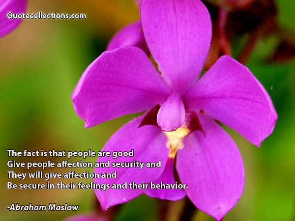 Abraham maslow quotes3