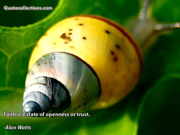 Alan watts quotes2