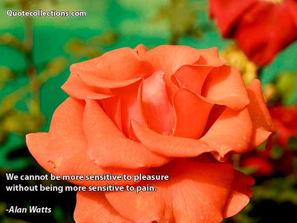 Alan watts quotes4