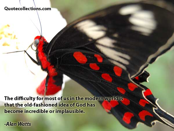 Alan watts quotes5