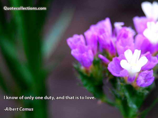 Albert Camus quotes2
