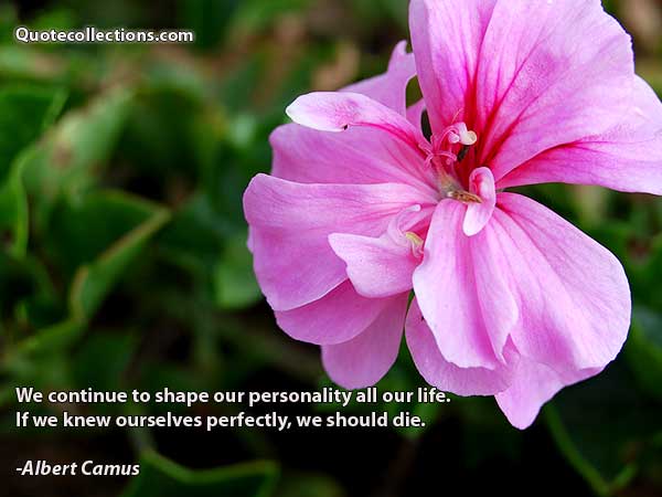 Albert Camus quotes7