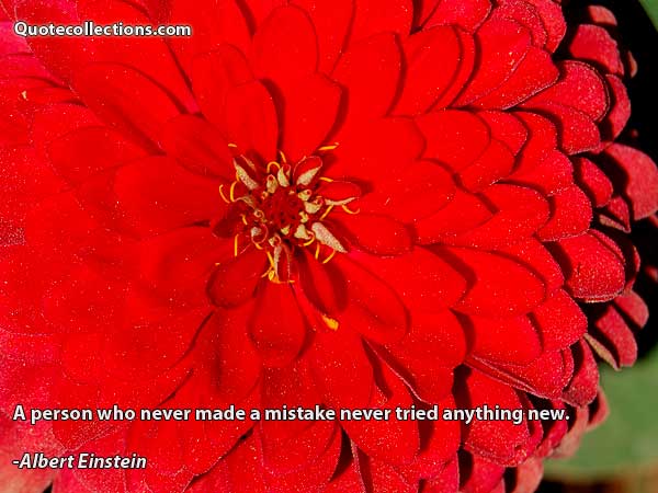 Albert einstein quotes1