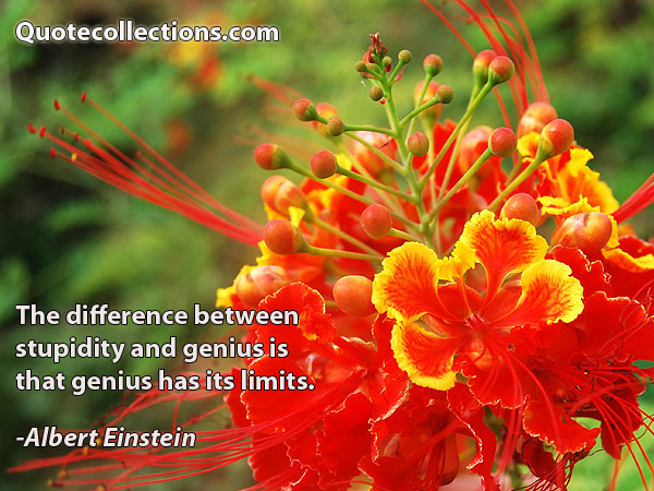 Albert einstein quotes16