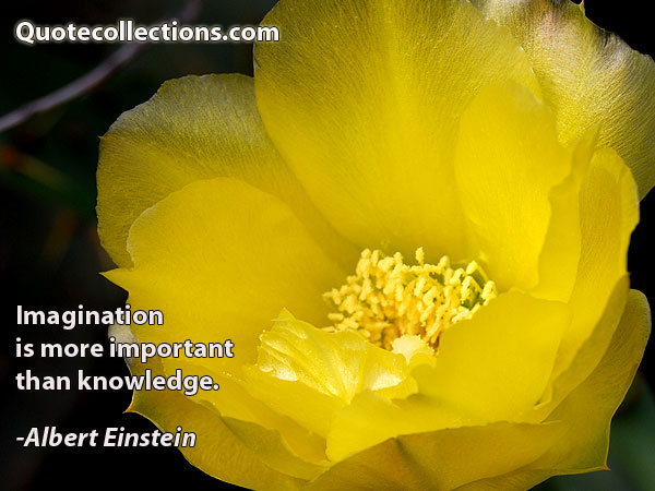 Albert einstein quotes17