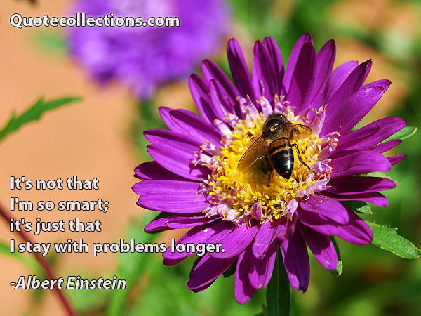 Albert einstein quotes19