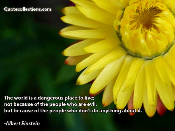 Albert einstein quotes2