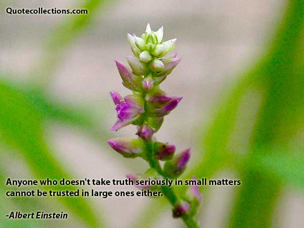 Albert einstein quotes5