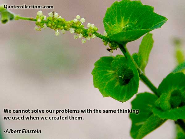 Albert einstein quotes6