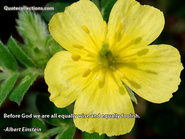 Albert einstein quotes7
