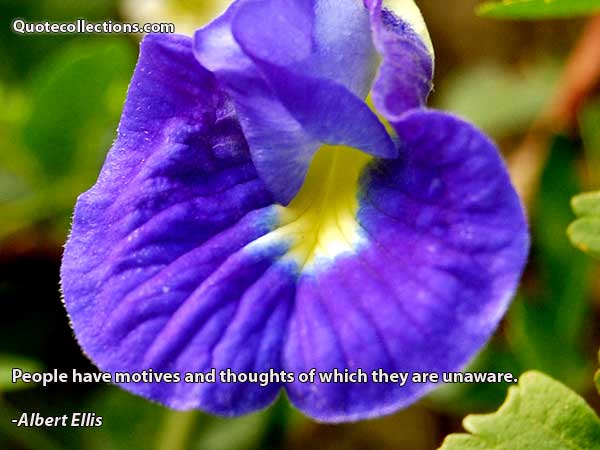 Albert ellis quotes4