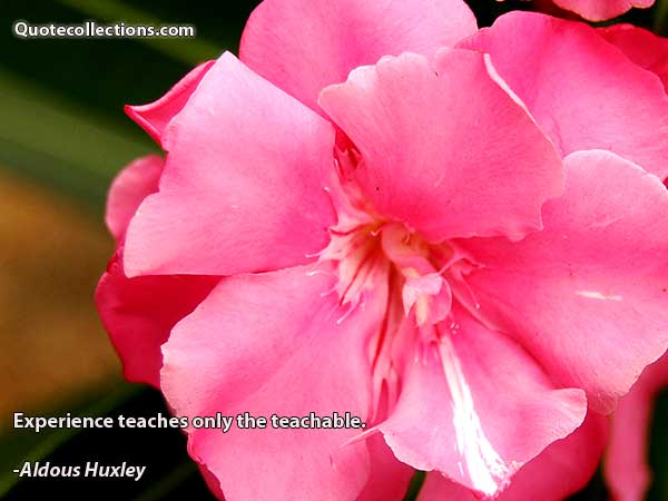 Aldous Huxley quotes5