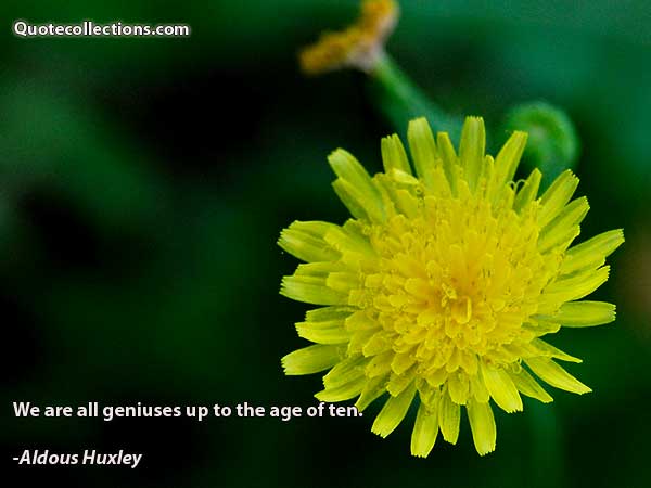 Aldous Huxley quotes8