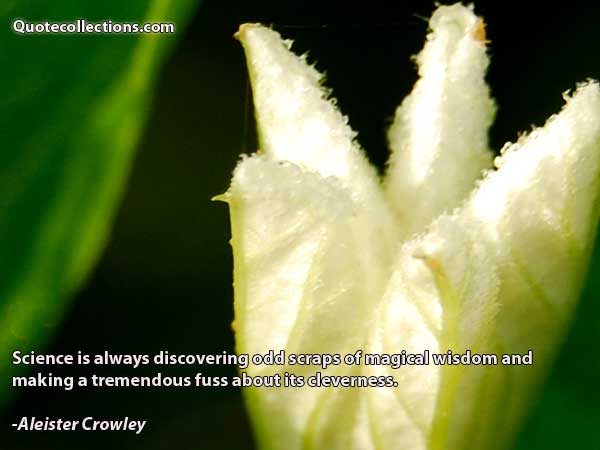 Aleister Crowley quotes3