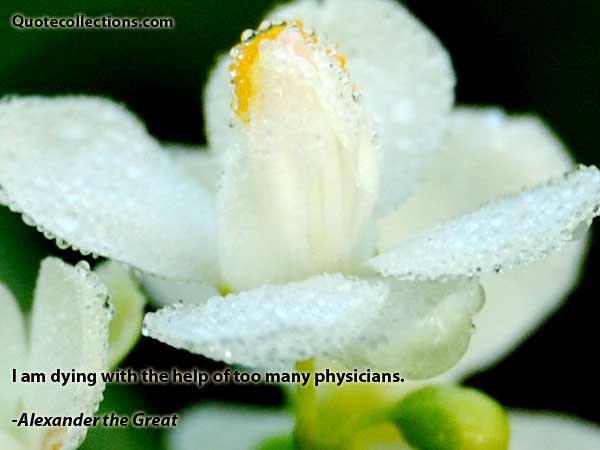 Alexander The Great quotes2