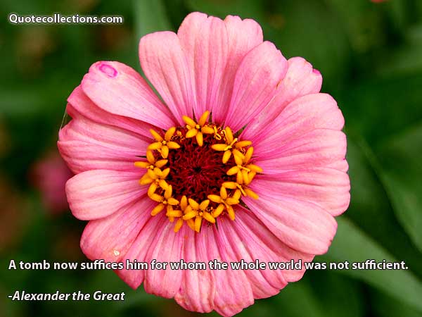 Alexander The Great quotes6