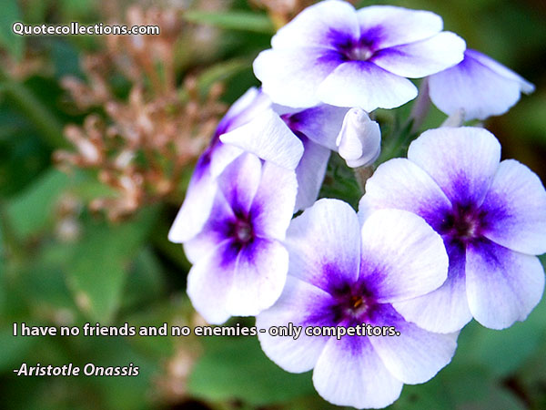 Aristotle Onassis quotes2