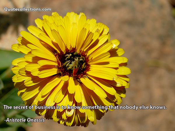 Aristotle Onassis quotes4