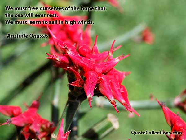 Aristotle Onassis quotes5