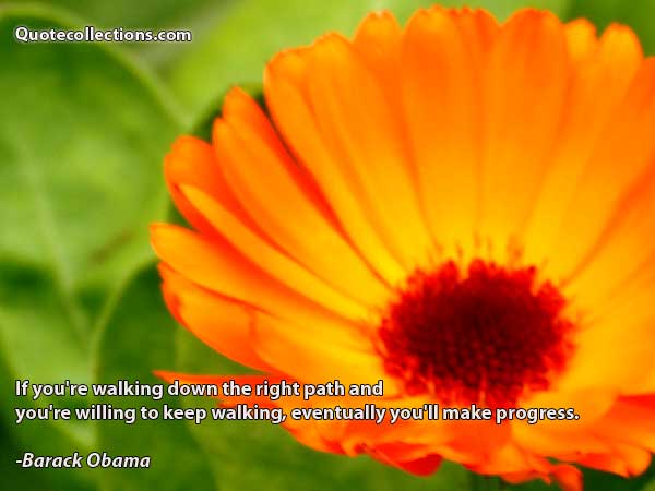 Barack Obama quotes3