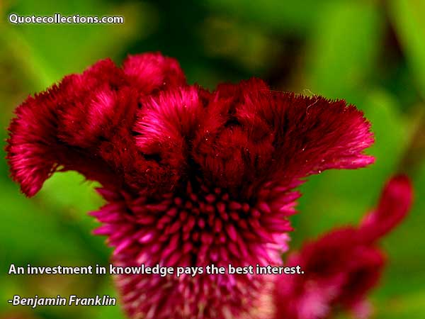 Benjamin Franklin quotes5