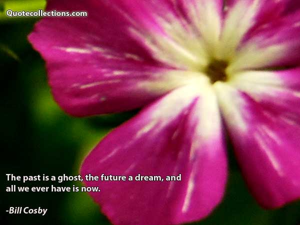 Bill Cosby quotes7