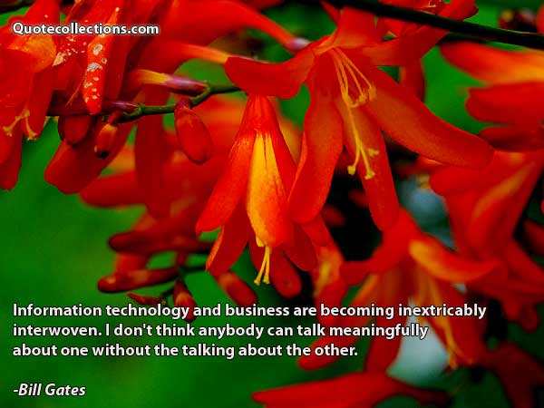 Bill Gates quotes9