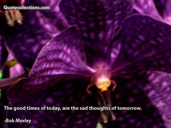 Bob Marley quotes5