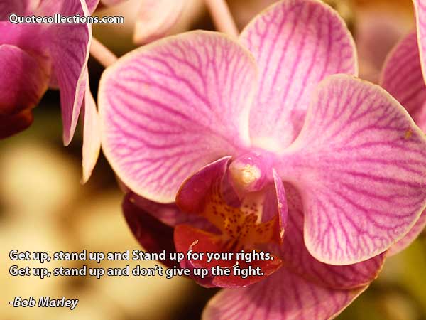 Bob Marley quotes7