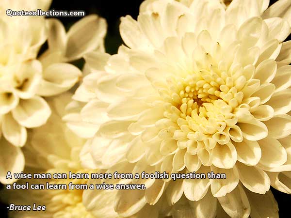 Bruce Lee quotes4