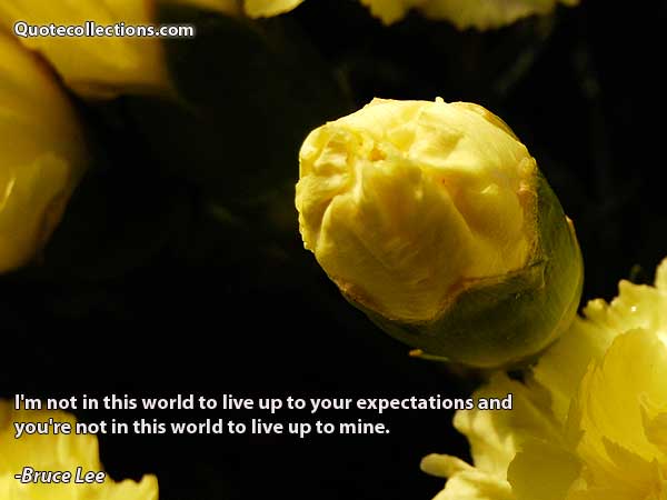 Bruce Lee quotes5