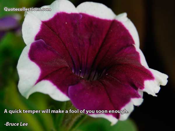 Bruce Lee quotes8