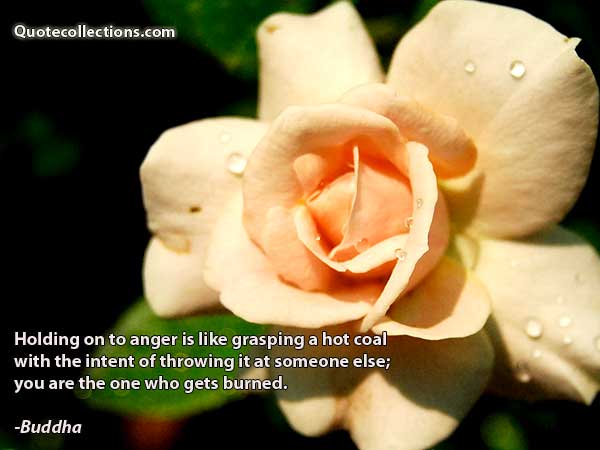 Buddha quotes4