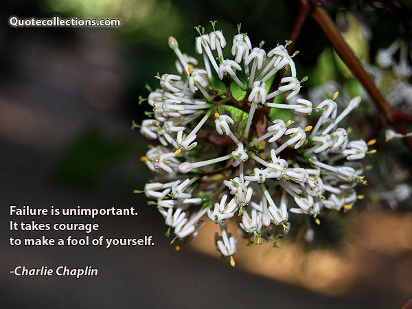 Charlie Chaplin quotes-2