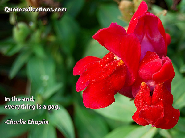 Charlie Chaplin quotes-6