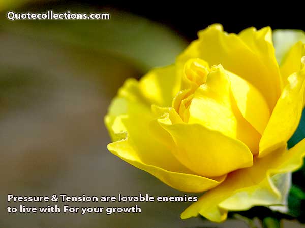 Corporate quotes5