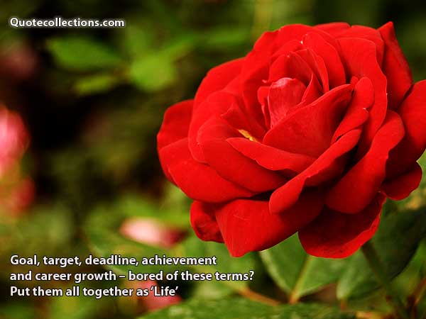 Corporate quotes6