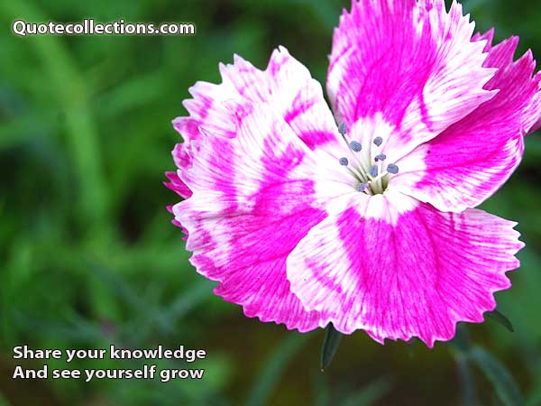 Corporate quotes7