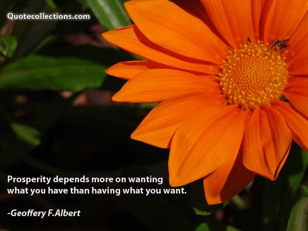Geoffery F. Albert Quotes3